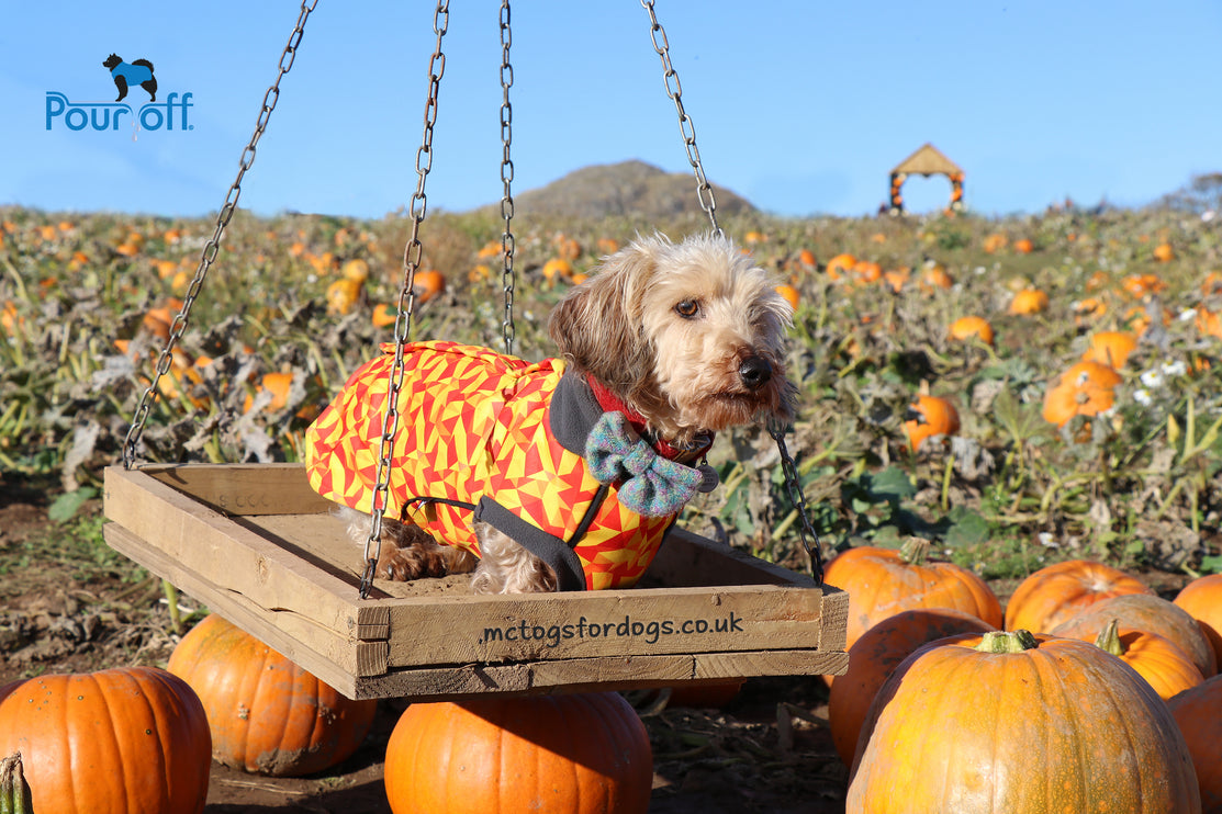 Trailblazer McTog - Microfleece Waterproof Dog Jumper - Step In Poppers