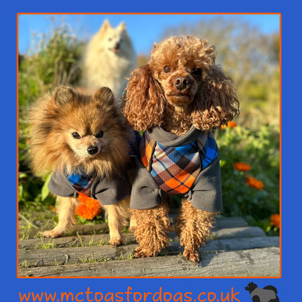 The Highlander McTog Dog Jumper - With Sleeves - Step In Poppers