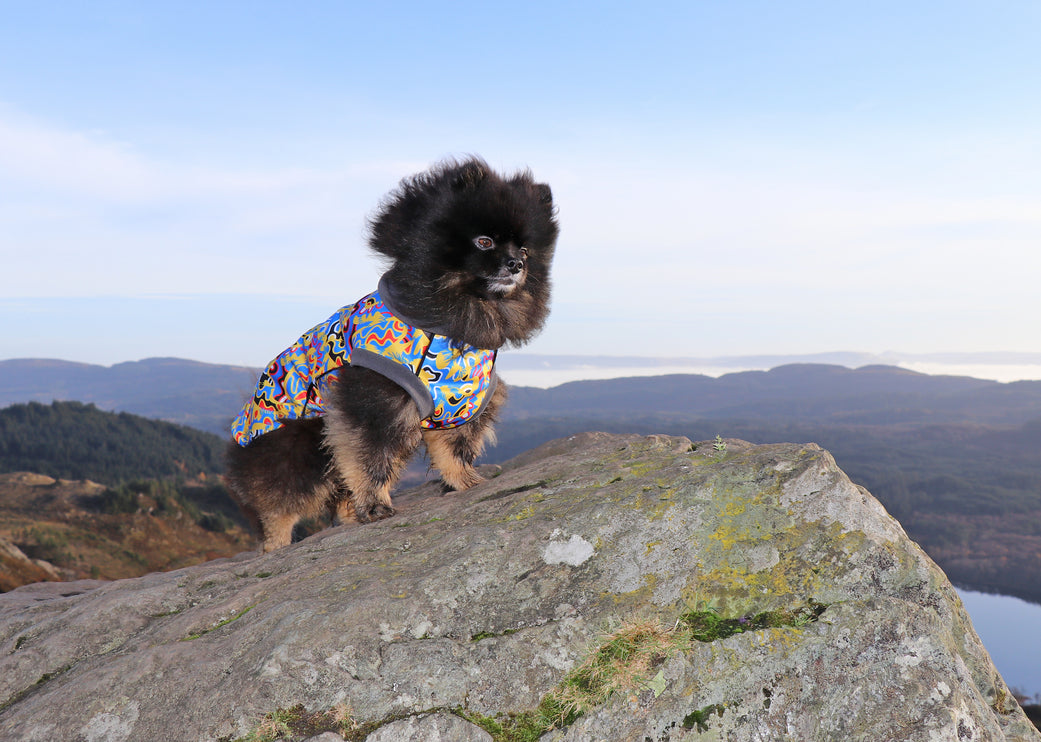 Vibe McTog - Waterproof Microfleece Dog Coat - Back Poppers