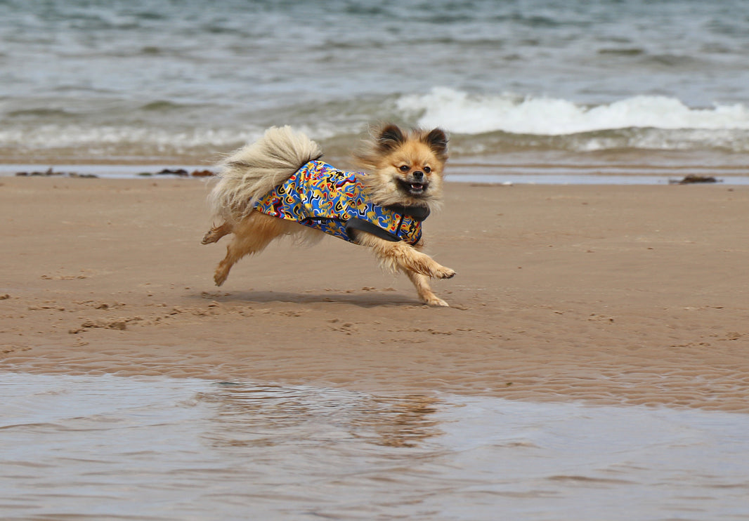 Vibe McTog - Waterproof Microfleece Dog Coat - Back Poppers