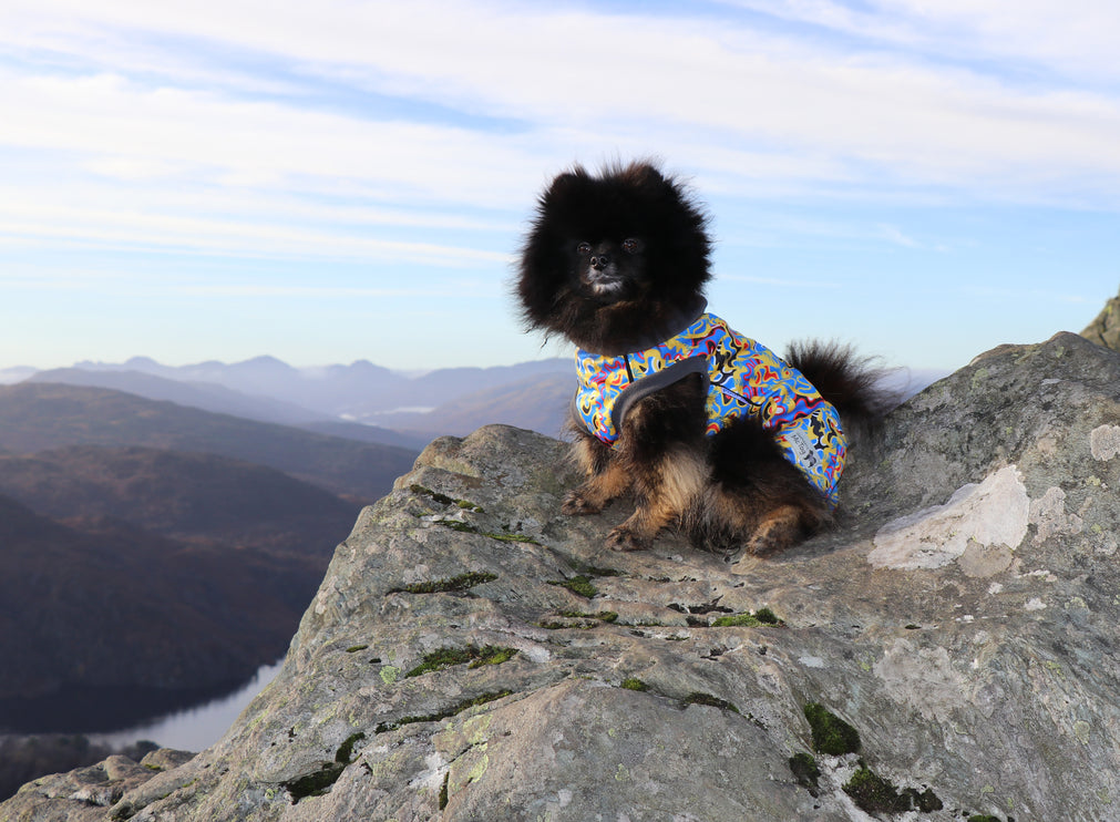 Vibe McTog - Microfleece Waterproof Dog Coat - Back Poppers