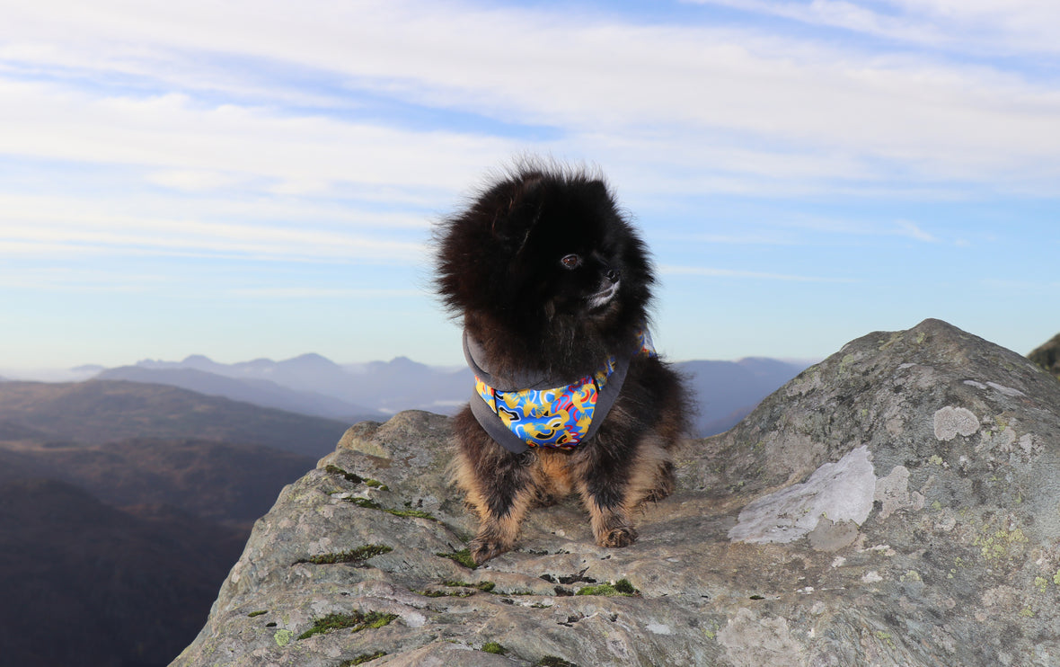 Vibe McTog - Microfleece Waterproof Dog Coat - Back Poppers