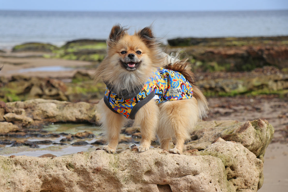 Vibe McTog - Waterproof Microfleece Dog Coat - Back Poppers