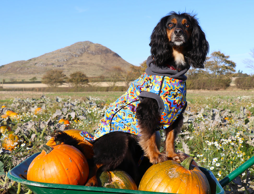 Vibe McTog - Waterproof Microfleece Dog Coat - Back Poppers