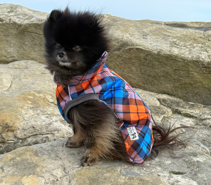 Glenndarcy McTog waterproof dog coat with chest and tummy coverage