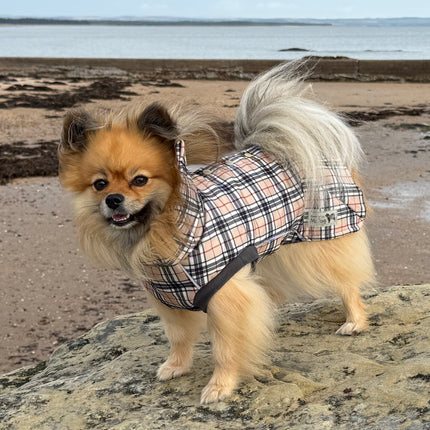 High neck waterproof dog coat in Harris tartan with full back popper fastening