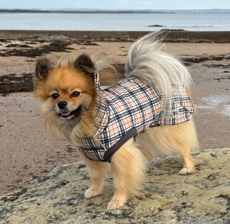 High neck waterproof dog coat in Harris tartan with full back popper fastening