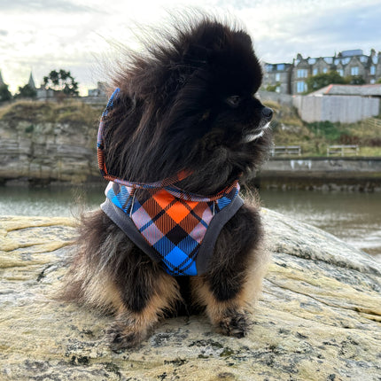 Highlander waterproof dog coat for rainy walks wet grass and muddy adventures