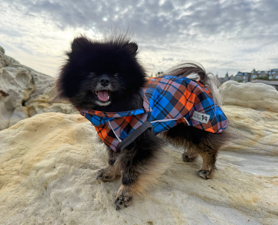 Pour Off waterproof microfleece dog jumper in Highlander pattern