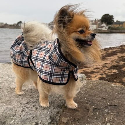 Glenndarcy RainHug waterproof microfleece dog coat in Harris pattern