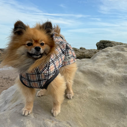 Harris tartan waterproof dog jumper with high neck and harness access