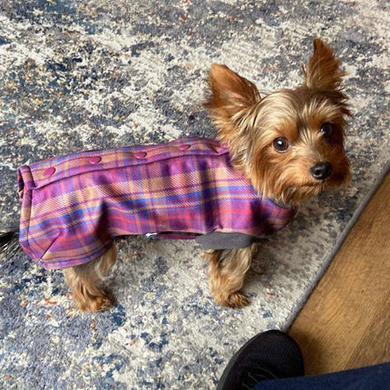Nevis McTog - Waterproof Microfleece Dog Jumper - Step In Poppers