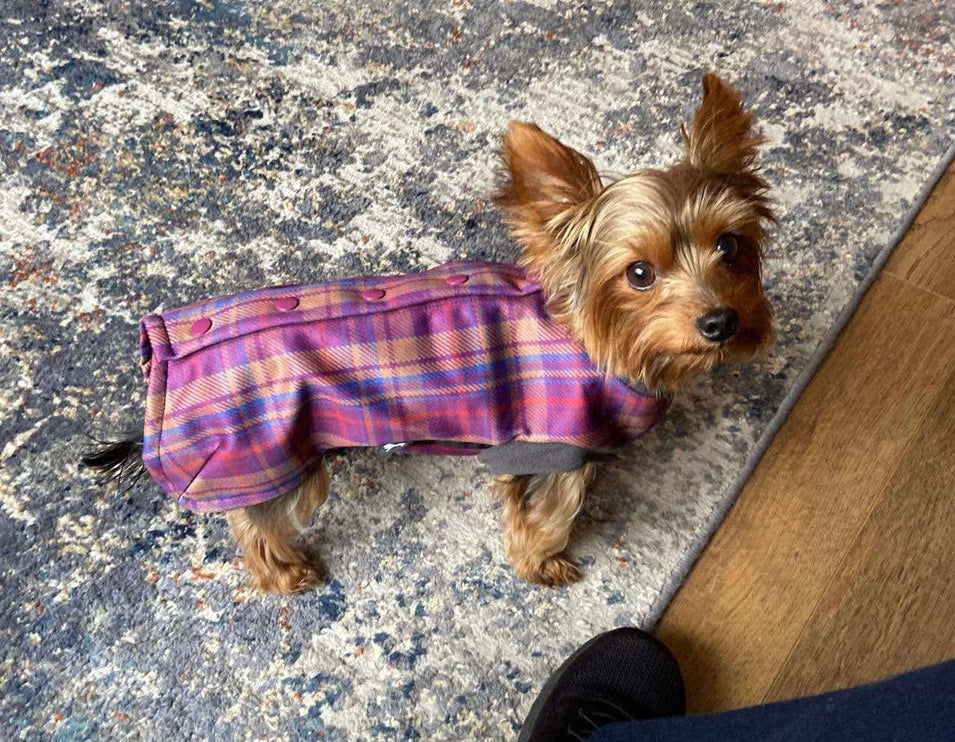 Nevis McTog - Microfleece Waterproof Dog Coat - Step In Poppers