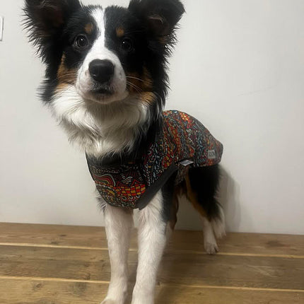 Zanzibar Waterproof Microfleece McTog Dog Jumper