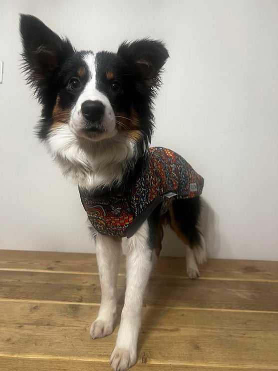 Zanzibar McTog - Microfleece Waterproof Dog Jumper