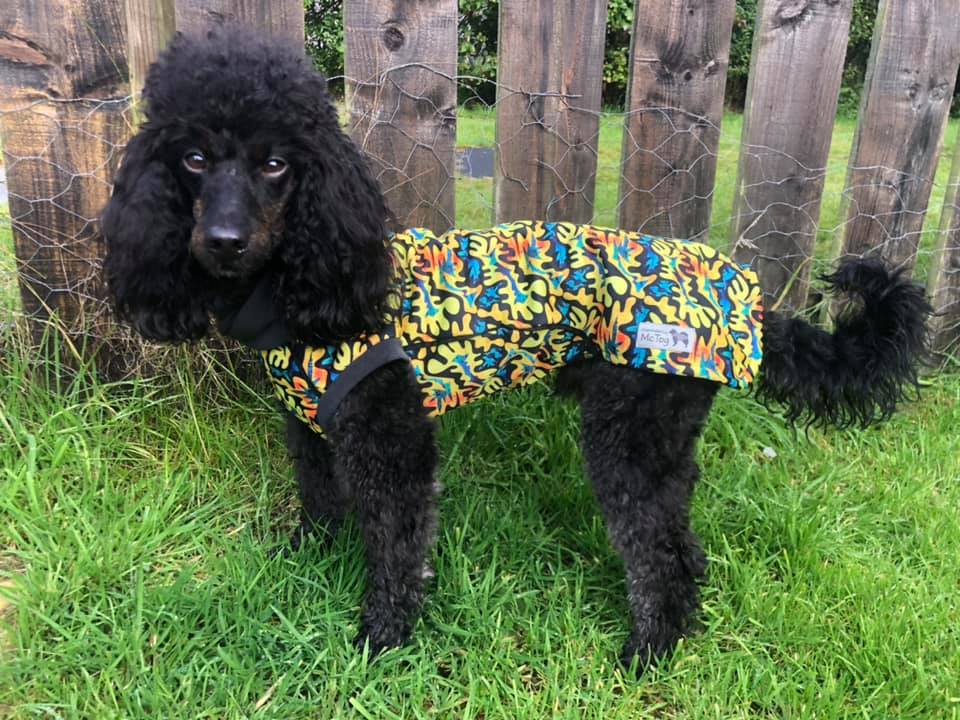 Zulu McTog - Microfleece Waterproof Dog Jumper