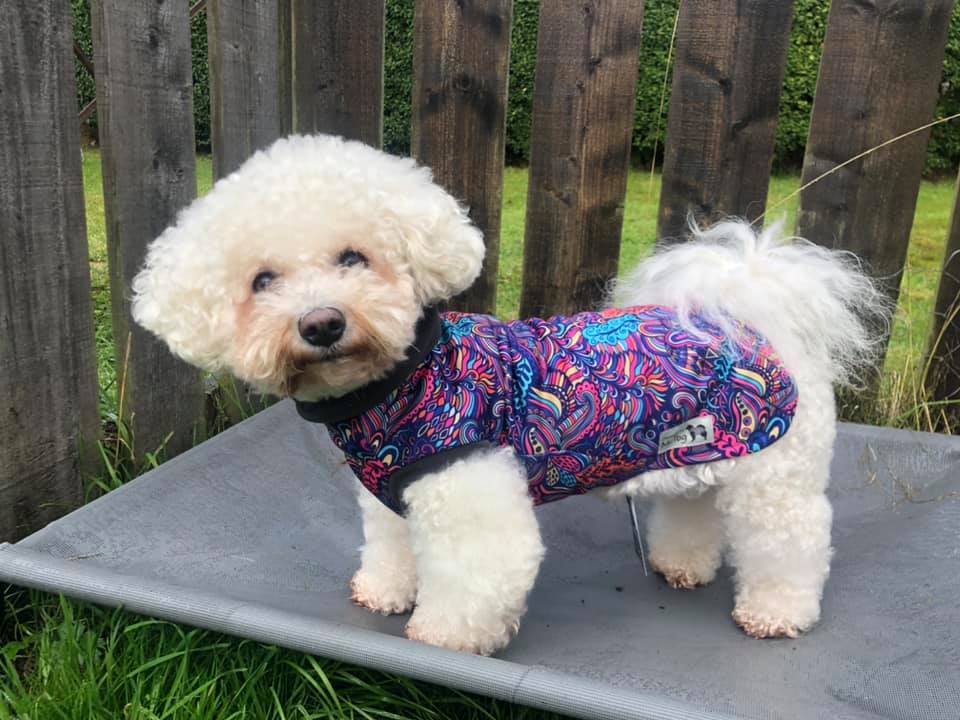 Bohemian McTog - Microfleece Waterproof Dog Jumper
