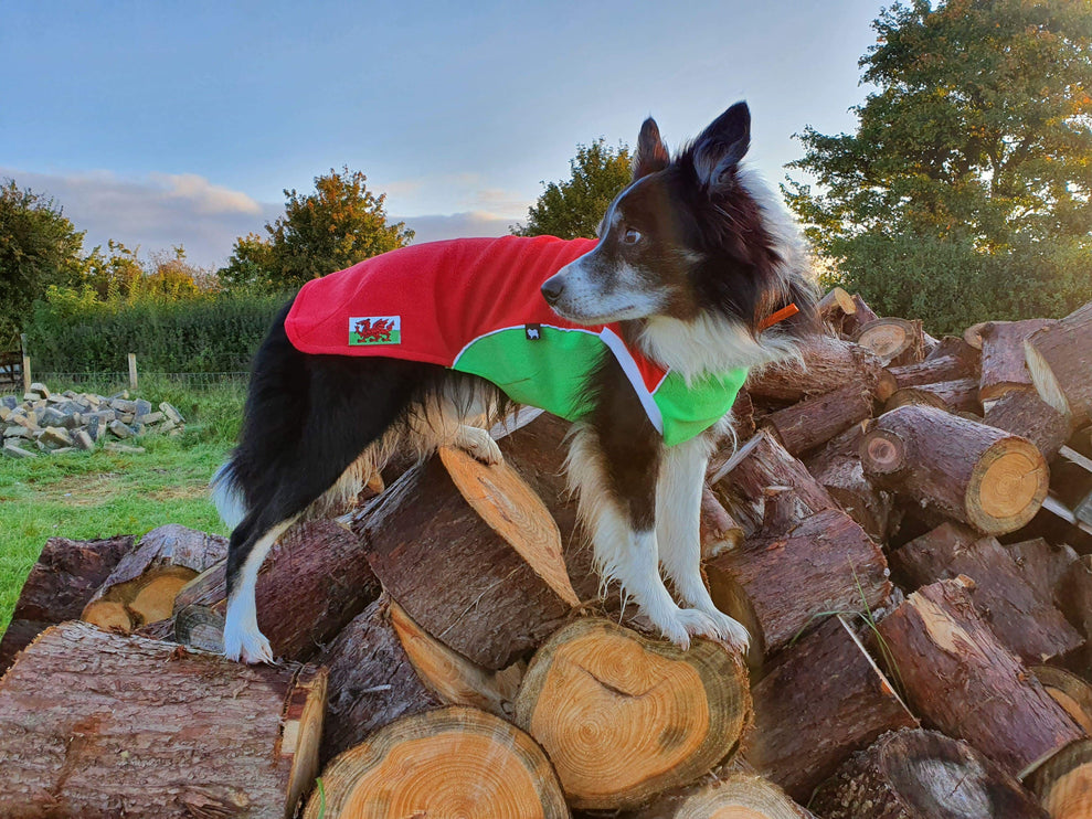 Red Green Polar Fleece McTog - Waterproof belly - End of Line Sale