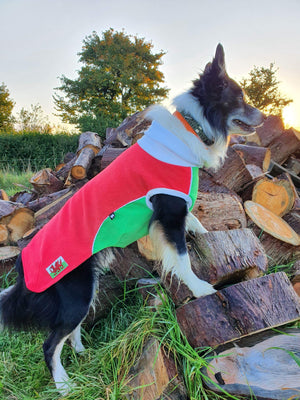 
            
                Load image into Gallery viewer, Red Green Polar Fleece - Waterproof belly - McTog Dog Jumper
            
        