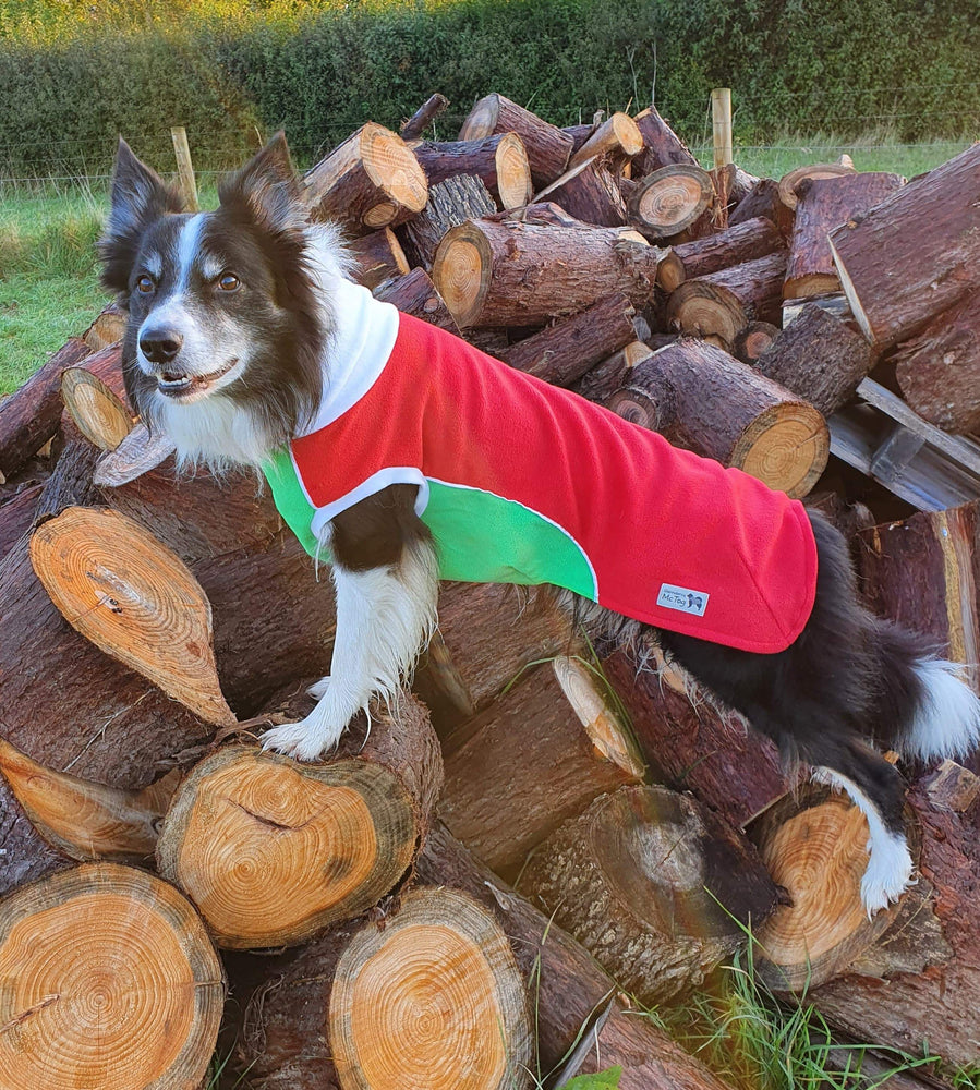 
            
                Load image into Gallery viewer, Red Green Polar Fleece - Waterproof belly - McTog Dog Jumper
            
        
