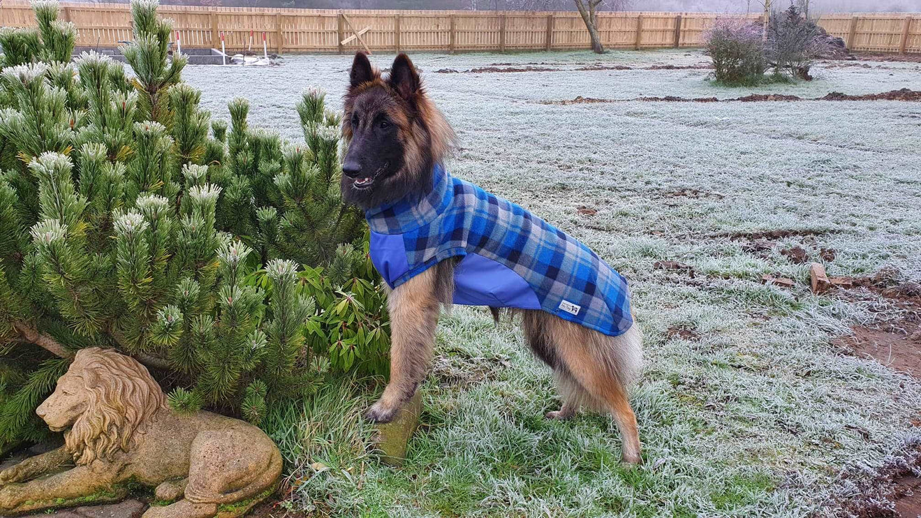 Blue Tartan Polar Fleece - Waterproof Panel McTog Dog Jumper - No Sleeves - Size 4, 4Slim and 5 only