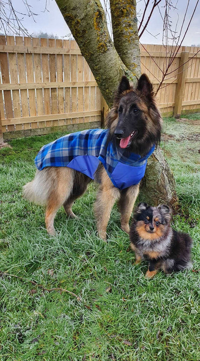 Blue Tartan Polar Fleece - Waterproof Panel McTog Dog Jumper - No Sleeves - Size 4, 4Slim and 5 only