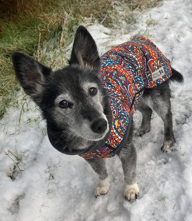 Zanzibar McTog - Microfleece Waterproof Dog Jumper