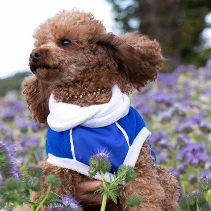 Blue & White Polar Fleece McTog dog Jumper - National Colours Collection