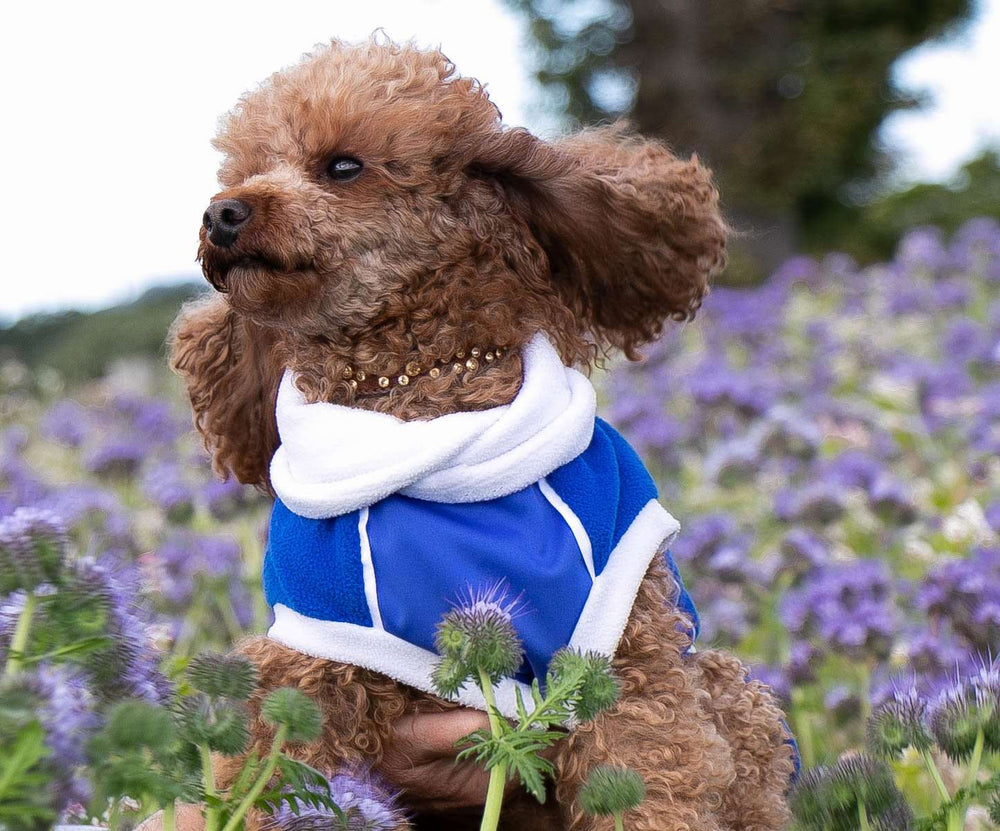 
            
                Load image into Gallery viewer, Blue &amp;amp; White Polar Fleece McTog dog Jumper - National Colours Collection
            
        