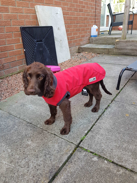 Red Double Waterproof Microfleece McTog Dog Jumper - No Sleeves