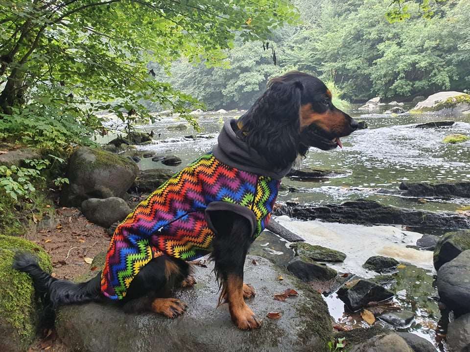 Rave Waterproof Microfleece Mctog Dog Jumper - No Sleeves