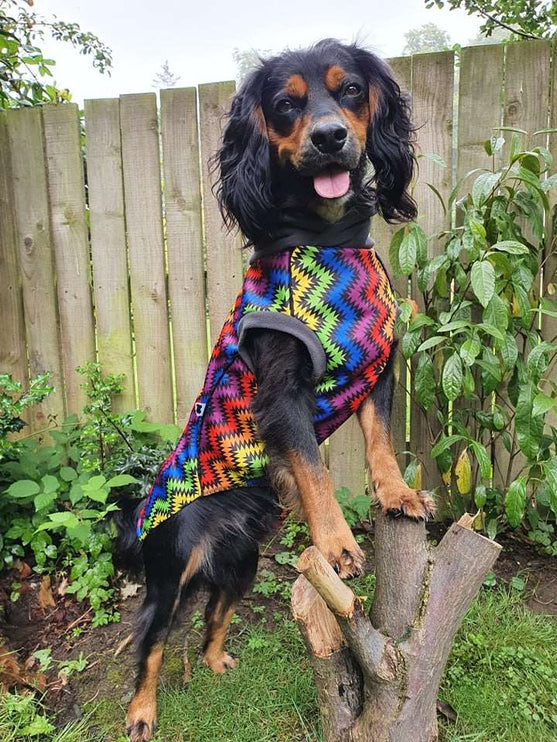 Rave Waterproof Microfleece Mctog Dog Jumper - No Sleeves