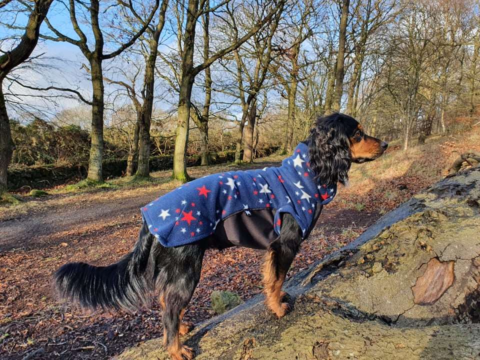 Sparkle Polar Fleece - Waterproof Panel McTog Dog Jumper - No Sleeves