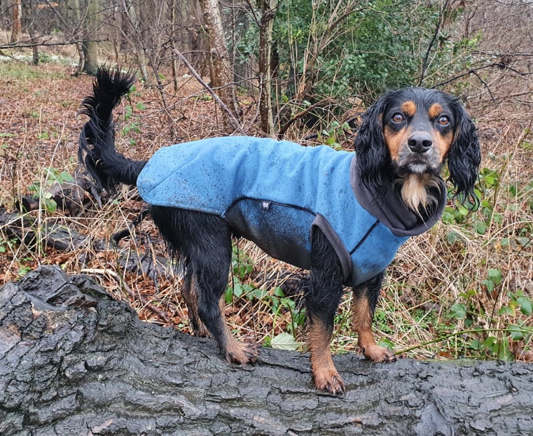 Malibu Blue McTog - Double layer Waterproof Microfleece - End of Line Clearance