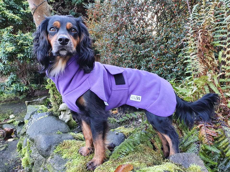 The Purple One! Waterproof Microfleece McTog Dog Jumper - Over / Under Style