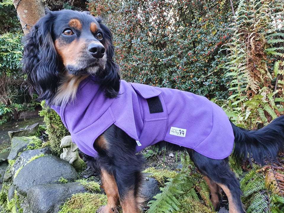 The Purple One! Waterproof Microfleece McTog Dog Jumper - Over / Under Style