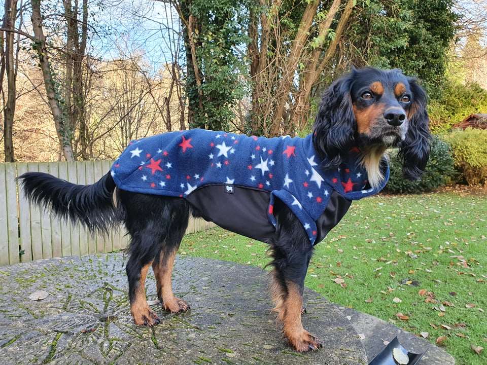 Sparkle Polar Fleece - Waterproof Panel McTog Dog Jumper - No Sleeves