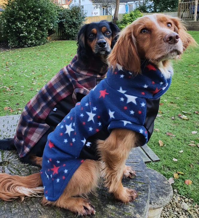 Sparkle McTog - Polar Fleece - Waterproof Panel Dog Jumper
