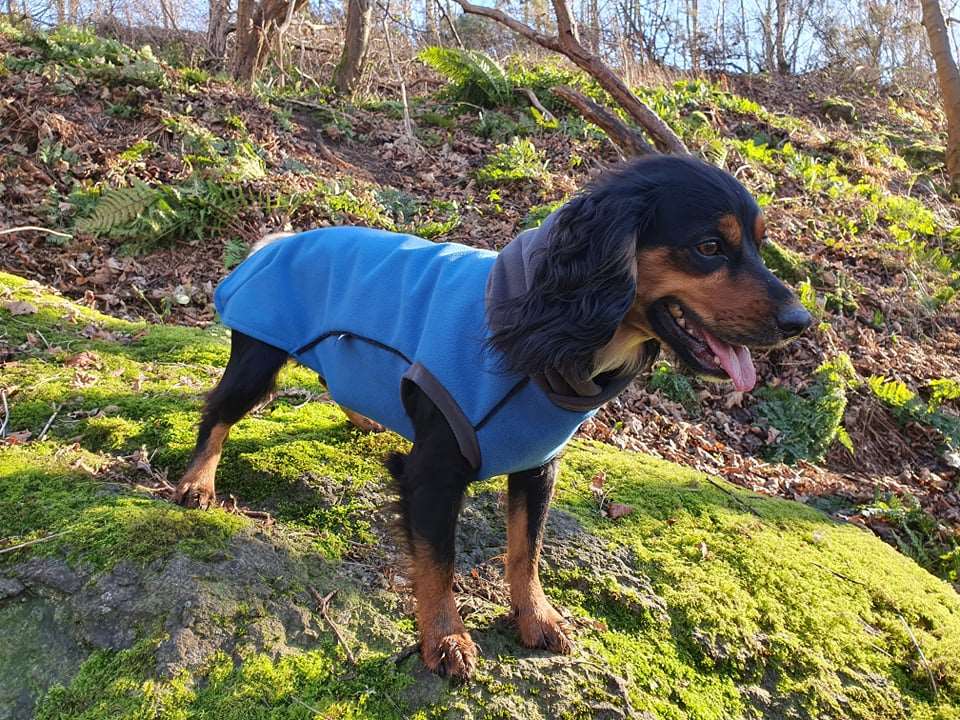 Malibu Blue - Double layer Waterproof Microfleece McTog Dog Jumper - No Sleeves