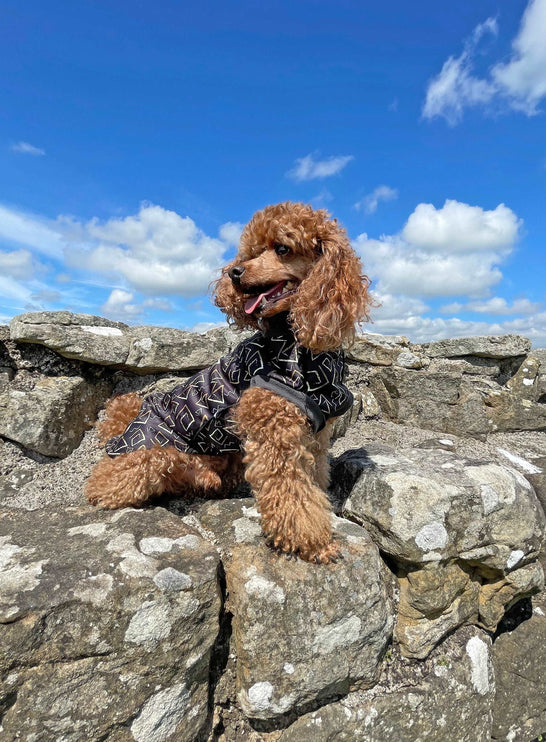 Roman Waterproof Microfleece McTog Dog Jumper - No Sleeves