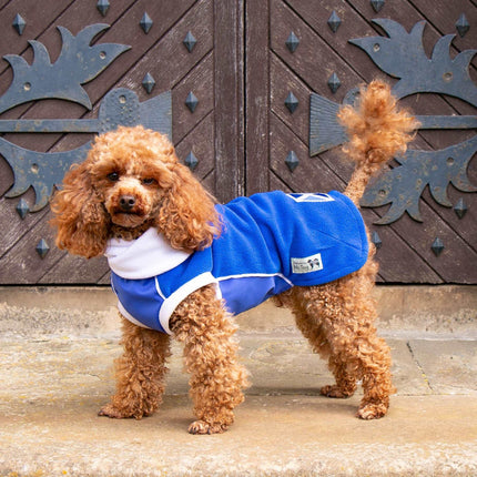 Blue & White Polar Fleece McTog dog Jumper - National Colours Collection