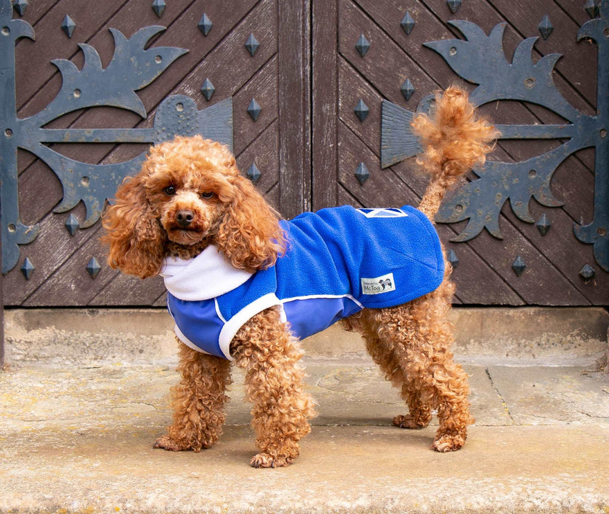 Blue & White Polar Fleece McTog dog Jumper - National Colours Collection