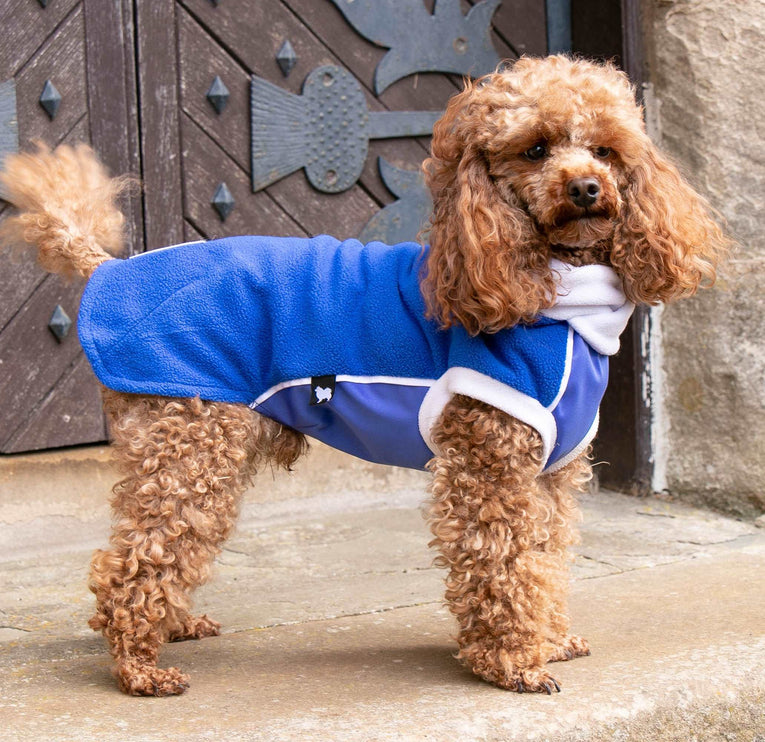 Blue & White Polar Fleece McTog dog Jumper - National Colours Collection