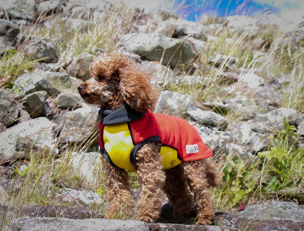 Yellow, Red and Black Polar Fleece McTog jumper - National Colours Collection