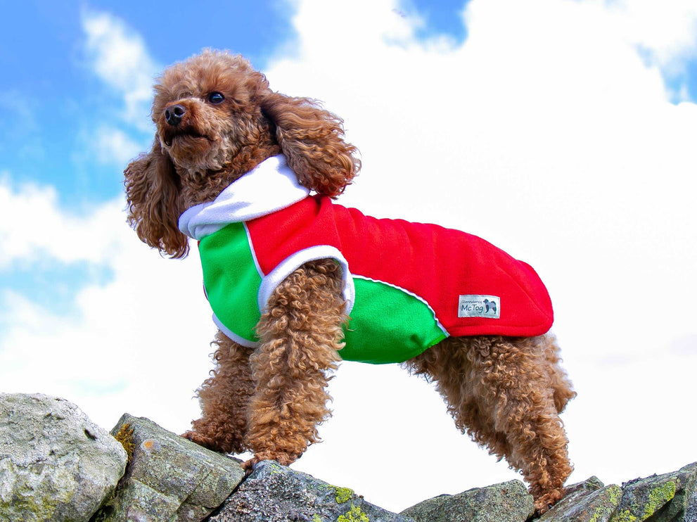 Red, Green & White Polar Fleece McTog jumper - National Colours Collection