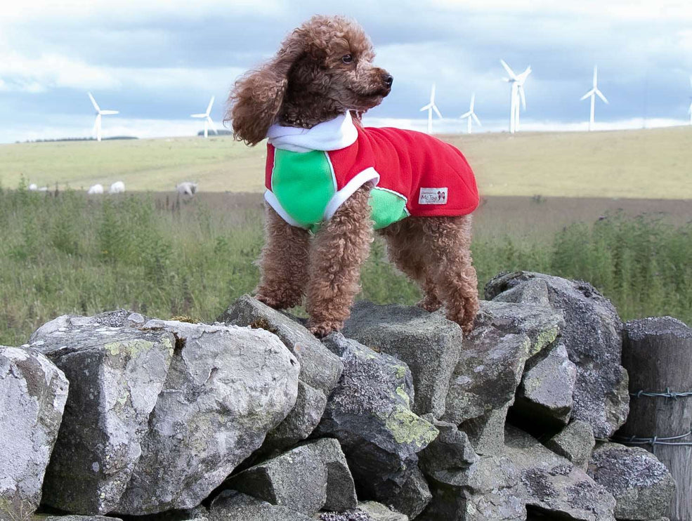 Red, Green & White Polar Fleece McTog jumper - National Colours Collection