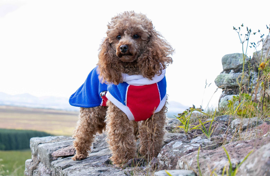 Red, White and Blue Polar Fleece McTog jumper - National Colours Collection