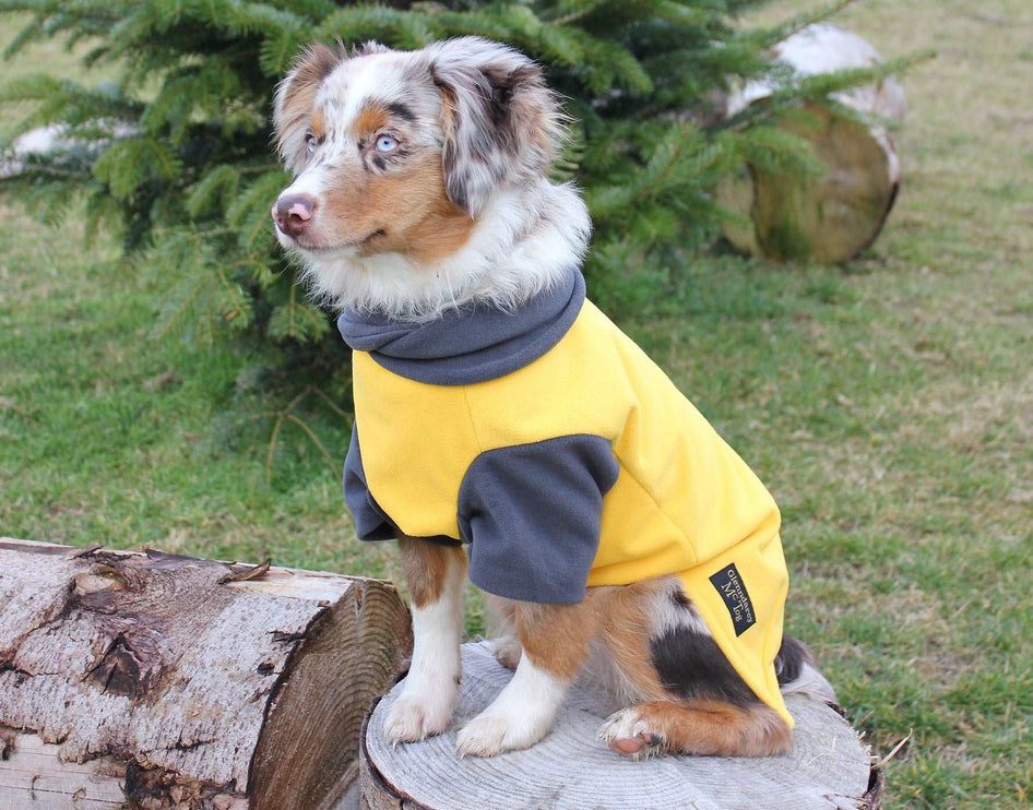 Sunshine McTog with Sleeves