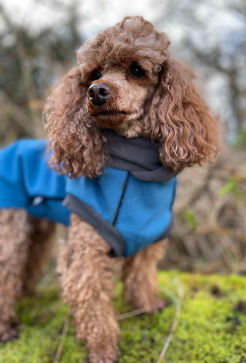 Malibu Blue - Double layer Waterproof Microfleece McTog Dog Jumper - No Sleeves