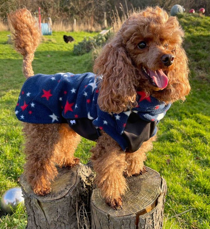 Sparkle Polar Fleece - Waterproof Panel McTog Dog Jumper - No Sleeves